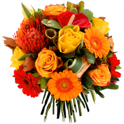 Livraison fleurs de « Fleurs anniversaire
Bouquet Salambo »