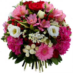 Livraison fleurs de « Fleurs anniversaire:
Bouquet Elyse »