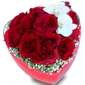 belles fleurs de saint valentin: coeur de roses et orchidées
