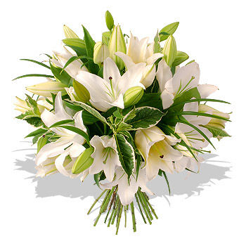 bouquet de lys blancs