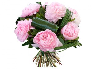 bouquet de pivoines roses