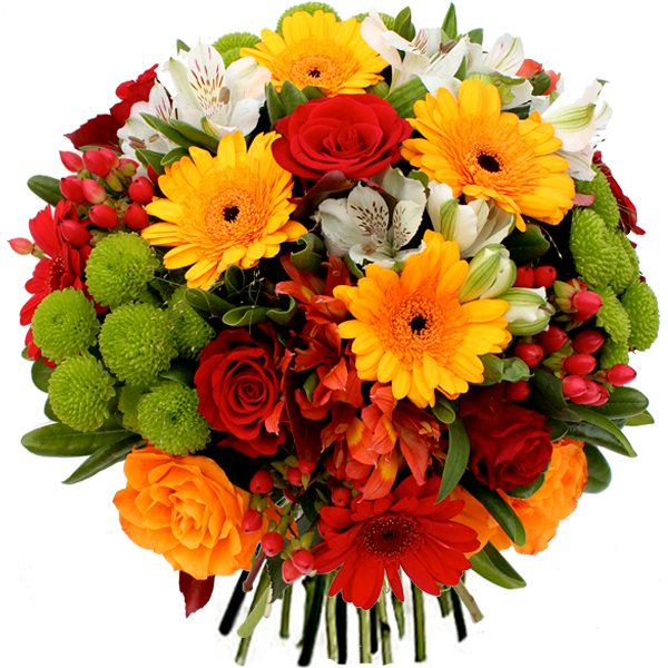 Anniversaire Ajonc Bouquet-rond-gerbera-alstromeria-rose-fleur-rouge-orange-vert-blanc_noa