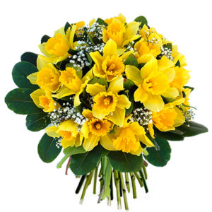 bouquet de Narcisses