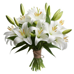 bouquet de lys blancs