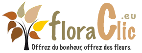 Logo Floraclic-livraison fleurs