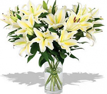 Bouquet de grands lys blancs