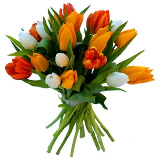 Bouquet Harmonie de Tulipes