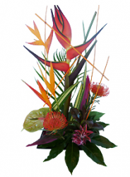 Livraison fleurs Nice « Fleurs exotiques:
Composition Structure »