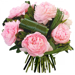 Livraison fleurs de « Bouquet Amour de Pivoines »
