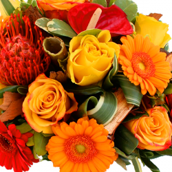 Image du produit Fleurs anniversaire:
Bouquet Salambo
