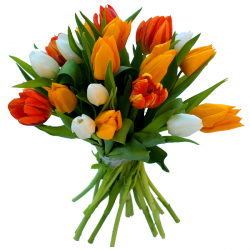 Fleurs d' Hiver « Bouquet Harmonie de Tulipes »