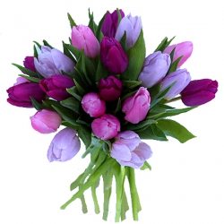 Livraison fleurs de « Bouquet Rêve de Tulipes »