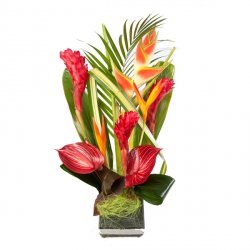 Fleurs de Nouvel An « Fleurs exotiques:
Composition Caraïbe »