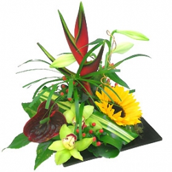 Miniature du produit « Fleurs exotiques:
Composition Juste pour Toi »
