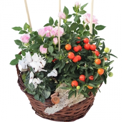Fleurs deuil « Panière de plantes Rose Blanc »