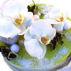 Image du produit Fleurs Anniversaire:
Gâteau Miroir d'orchidées