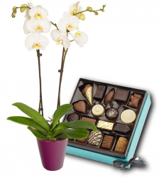Fleurs Fête des Grands Mères « Orchidée et Chocolats »
